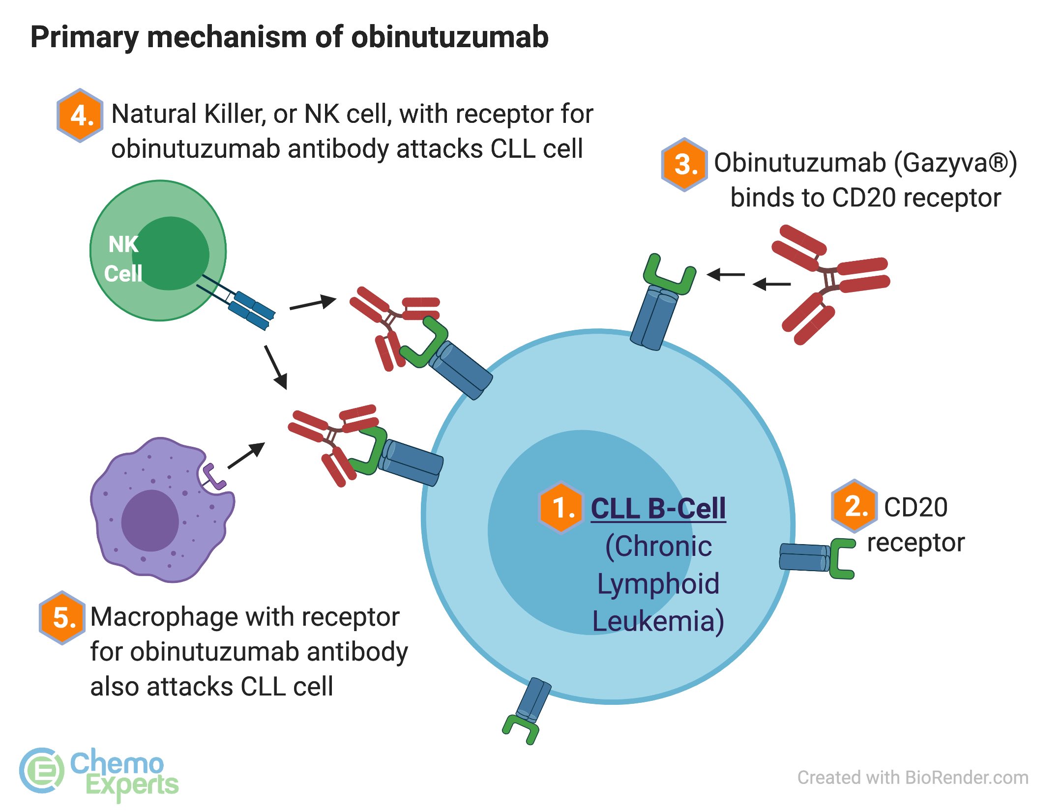 Primary-mechanism-of-action-obtinutuzumab-Gazyva-for-CLL-direct-cell-death-and-complement-mediated-pathways-image.jpg